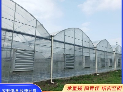 连栋大棚外遮阳内保温农业大棚现货厂家供应园林花卉草莓连栋大棚图2