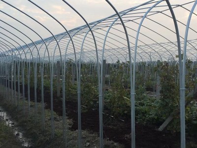 安装8430连栋温室大棚骨架蔬菜多肉连栋大棚骨架遮阳包工包料图2