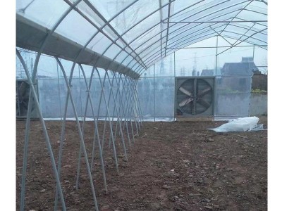 安装8430连栋温室大棚骨架蔬菜多肉连栋大棚骨架遮阳包工包料图5