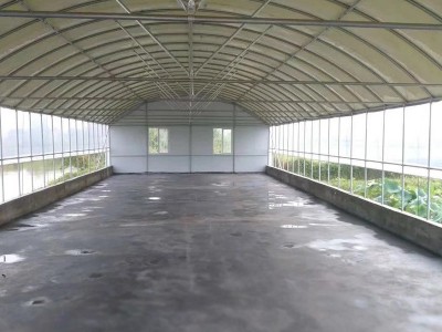 加工安装农用蔬菜花卉温室大棚 大棚镀锌钢材温室骨架图2