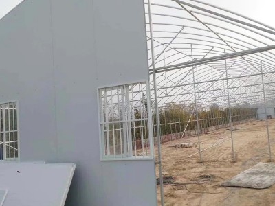 加工安装农用蔬菜花卉温室大棚 大棚镀锌钢材温室骨架图4