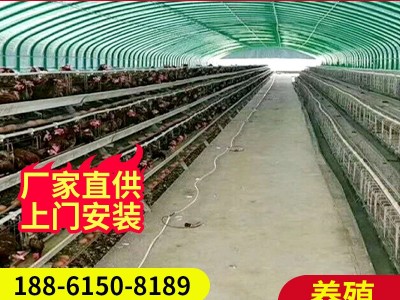 室内养殖大棚工程搭建冬暖夏凉畜牧大棚包塑大棚骨架蔬菜种植大棚图3