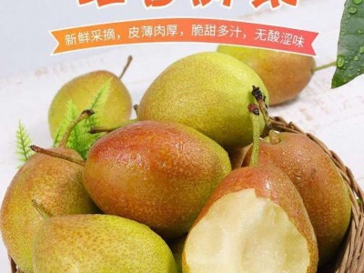 红香酥梨子现摘现发新鲜水果脆甜小香梨5、10斤整箱批发非库尔勒图3