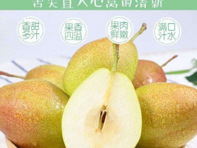 红香酥梨子现摘现发新鲜水果脆甜小香梨5、10斤整箱批发非库尔勒图4