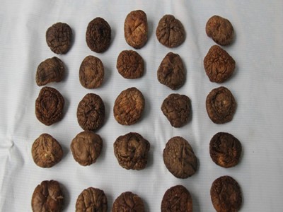 远安特产楚蕈500g散装新货肉厚鲜嫩冬菇100斤基地直批图3