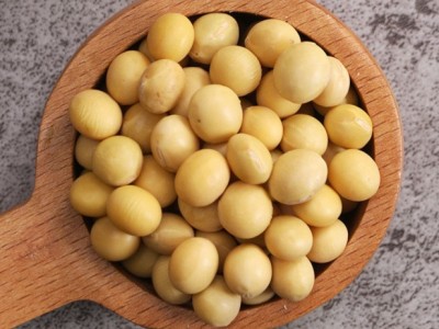 黄豆soybean厂家批发五谷杂粮大豆磨粉豆浆原料图2
