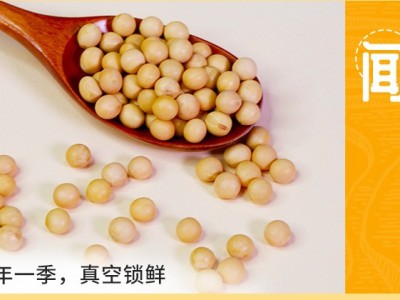 黄豆soybean厂家批发五谷杂粮大豆磨粉豆浆原料图4