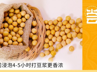 黄豆soybean厂家批发五谷杂粮大豆磨粉豆浆原料图3