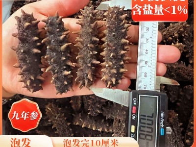 大连淡干纯无盐冷水速发海参九年参干参散装送领导长辈实用礼品图2