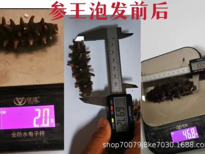 大连淡干纯无盐冷水速发海参九年参干参散装送领导长辈实用礼品图3
