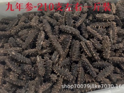 大连淡干纯无盐冷水速发海参九年参干参散装送领导长辈实用礼品图5