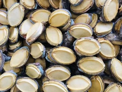 冻干鲍鱼缘参堂海参工厂批发直播电商鲍鱼干货批发冻干鲍鱼礼盒批图3