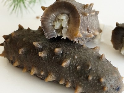 【包邮】工厂现货不挂冰Q弹鲜食海参500g辽刺参大连即食海参批发图4