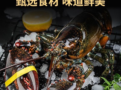 波士顿龙虾大波龙鲜冻海鲜速冻澳洲澳龙超大特大图3
