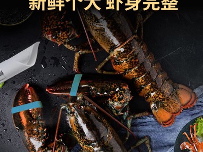 波士顿龙虾大波龙鲜冻海鲜速冻澳洲澳龙超大特大图4