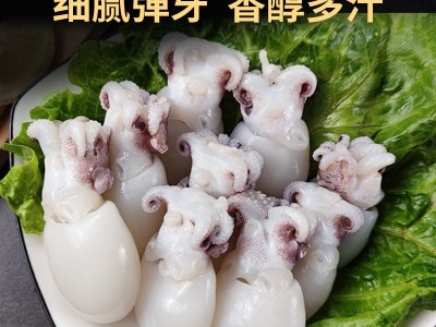 新鲜冷冻大号墨鱼仔去皮去脏海捕墨鱼仔批发商用图4