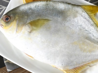 新鲜金鲳鱼鲜活冷冻特大鲳鳊鱼金昌鱼海鱼鲜活海鲜平鱼白鲳冰鲜图3