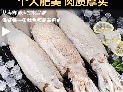 鱿鱼鲜活新鲜超大鱿鱼须生鲜火箭铁板烧烤海鲜冷冻批发图4