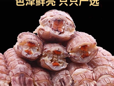 生冻皮皮虾肉鲜活现剥虾姑肉冷冻虾爬肉虾婆肉濑尿虾肉海鲜水产批图4