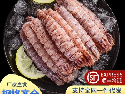 生冻皮皮虾肉鲜活现剥虾姑肉冷冻虾爬肉虾婆肉濑尿虾肉海鲜水产批图2