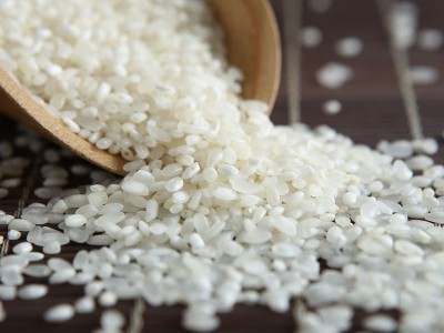 东北大米10斤厂家批发当季新米香米农家珍珠米食堂批发白米5kg图3