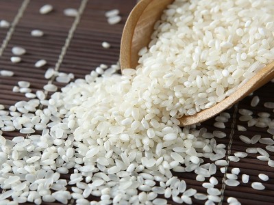东北大米10斤厂家批发当季新米香米农家珍珠米食堂批发白米5kg图2
