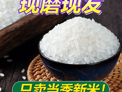 东北寒地大米当季新米群艳长粒香米10斤包邮厂家批发一件代发图2