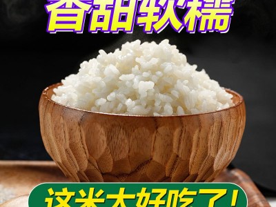 东北寒地大米当季新米群艳长粒香米10斤包邮厂家批发一件代发图3