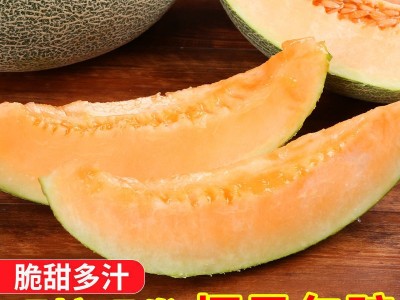哈密瓜新疆10斤当季新水果脆甜网纹蜜瓜应季小香瓜西州蜜整箱批发图2