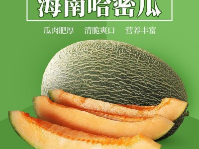 哈密瓜新疆10斤当季新水果脆甜网纹蜜瓜应季小香瓜西州蜜整箱批发图5