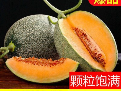 哈密瓜新疆10斤当季新水果脆甜网纹蜜瓜应季小香瓜西州蜜整箱批发图3
