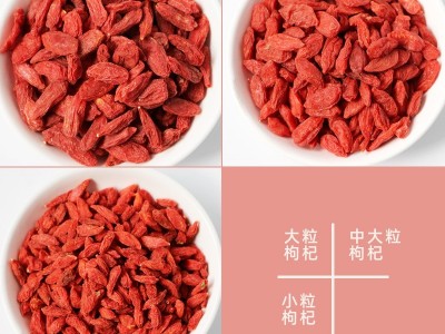 散货供应宁夏枸杞500g水果茶黑枸杞中宁苟杞子花果茶量大从优图2