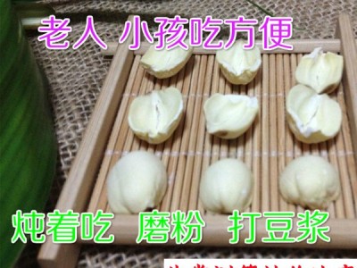 今年新货特级建宁莲子半边莲纯手工白莲子无芯去心白莲500克干货图5