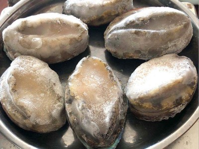 冻干鲍鱼6-12头鲍鱼 海鲜水产酒店佛跳墙食材 带壳活冻大鲍鱼批发图3