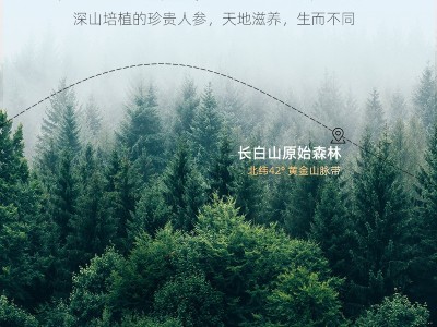 【杞里香】西洋参厂家批发50g瓶装西洋参切片花旗参片含片代发图4