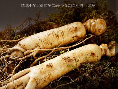 【杞里香】西洋参厂家批发50g瓶装西洋参切片花旗参片含片代发图5