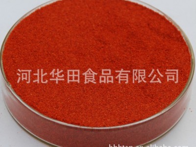 l厂家直销 供应甜椒粉 甜椒粉 不辣微甜 适用于任何甜椒风味产品图4