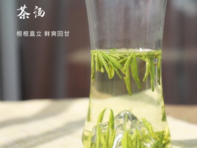 2023四川峨眉春季绿茶雀舌GA春茶采摘春茶新茶500g散装厂家现货图3