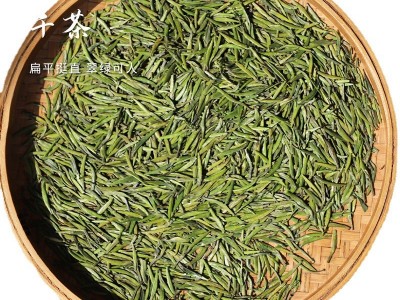 2023四川峨眉春季绿茶雀舌GA春茶采摘春茶新茶500g散装厂家现货图5