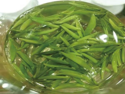 2023年新茶四川绿茶雀舌500g散装现货批发茶叶厂家产地一件代发图3