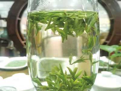 2023年新茶四川绿茶雀舌500g散装现货批发茶叶厂家产地一件代发图4