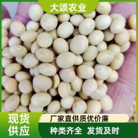 大豆批发 东北黑龙江 进口俄罗斯澳大利亚 非转基因 做豆腐豆浆