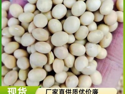 大豆批发 东北黑龙江 进口俄罗斯澳大利亚 非转基因 做豆腐豆浆图4