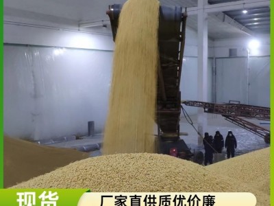 黄豆批发 东北黑龙江大豆 豆浆原料 豆类散装杂粮图4