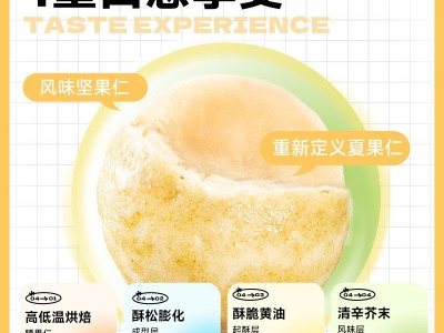 山姆同款芥末味夏威夷果仁 风味坚果芥末味爆款零食坚果代发批发图4