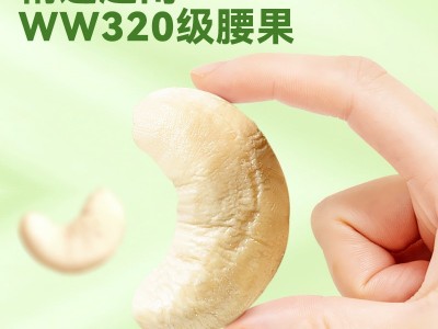 沃隆腰果仁500g/罐 坚果炒货零食原味干果罐装休闲图2