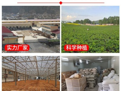甘肃岷县新货党参个子散装批发 中药材党参切片 农产品党参条图2