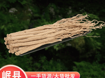 产地直供党参条甘肃岷县产地党参条人工挑选党参多规格批发党参图5