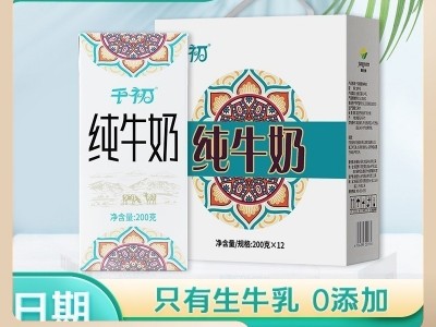 千初 纯牛奶批发全脂牛奶整箱200g*20盒装儿童学生早餐奶 一件代发图3