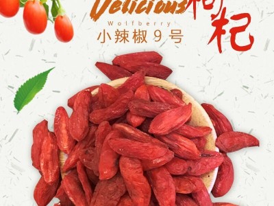 青海红枸杞散装批发 小辣椒9号产地货源红枸杞子一件代发图2